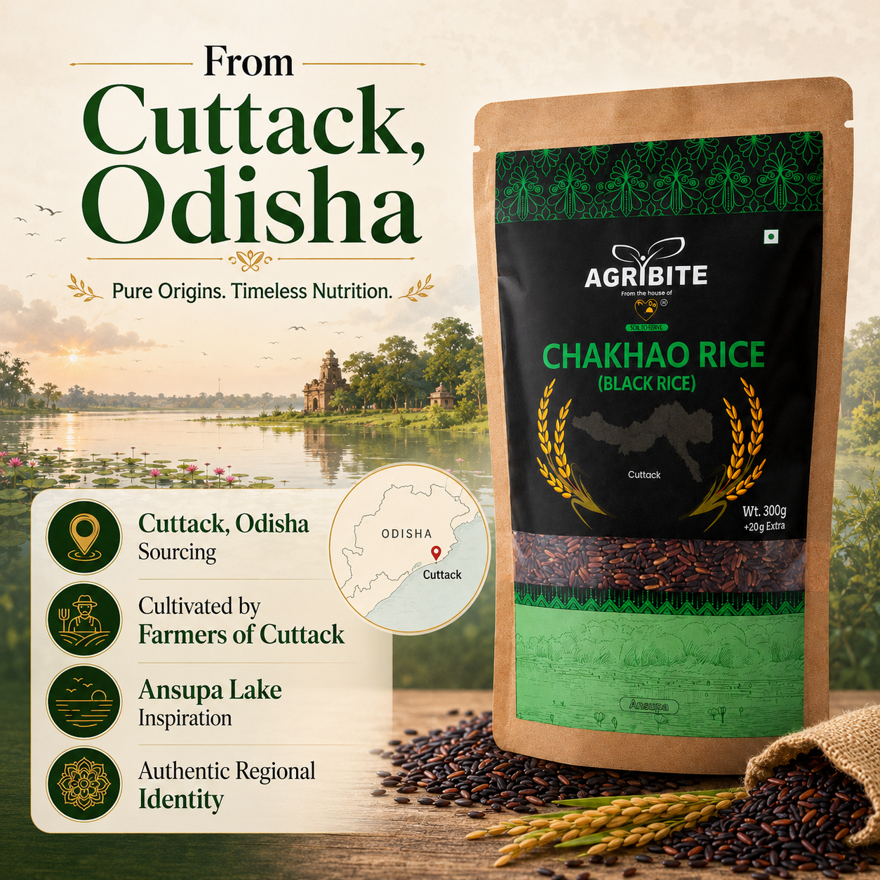 Agribite Chakhao/ Black Rice from Farmer of Cuttack - Image 2