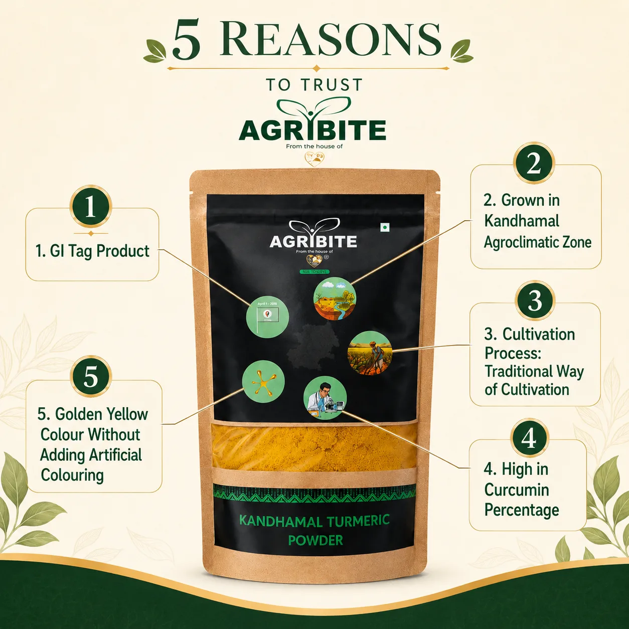 Agribite Kandhamal Turmeric Powder - Image 4